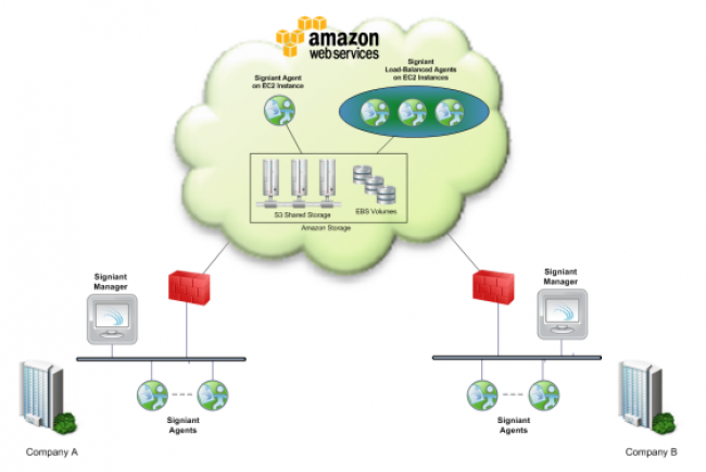 Amazon graphic