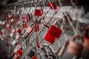A chain link fence with many red locks with people's names of them, locked all over it.