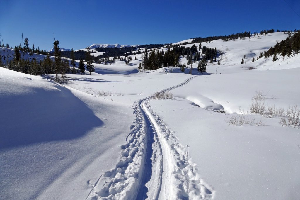 A vast snowy field with evergreen trees and mountains, and a trail through the center of it.