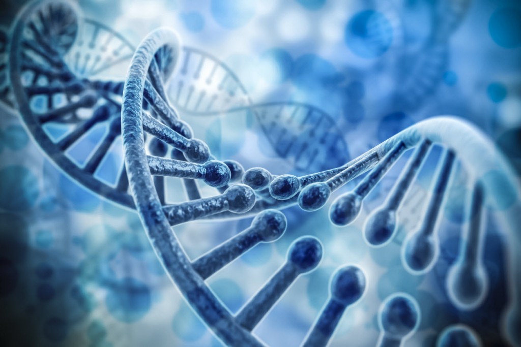 Double Helix strands of DNA.