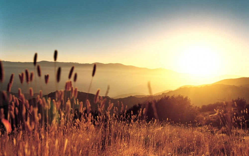 A mountain sunrise with cattails in the foreground.