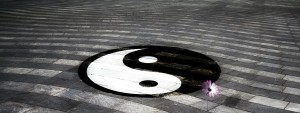 A yin yang painted on a brick floor with single pink daisy coming out of the bricks.