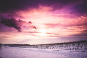 A beautiful sun rise over a snowy field.