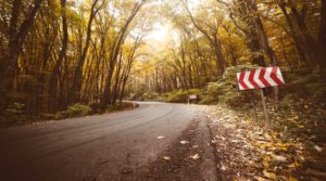 A curving, empty road going through a forest.