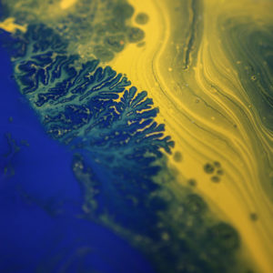 Blue paint intermingling with yellow paint on top of water.