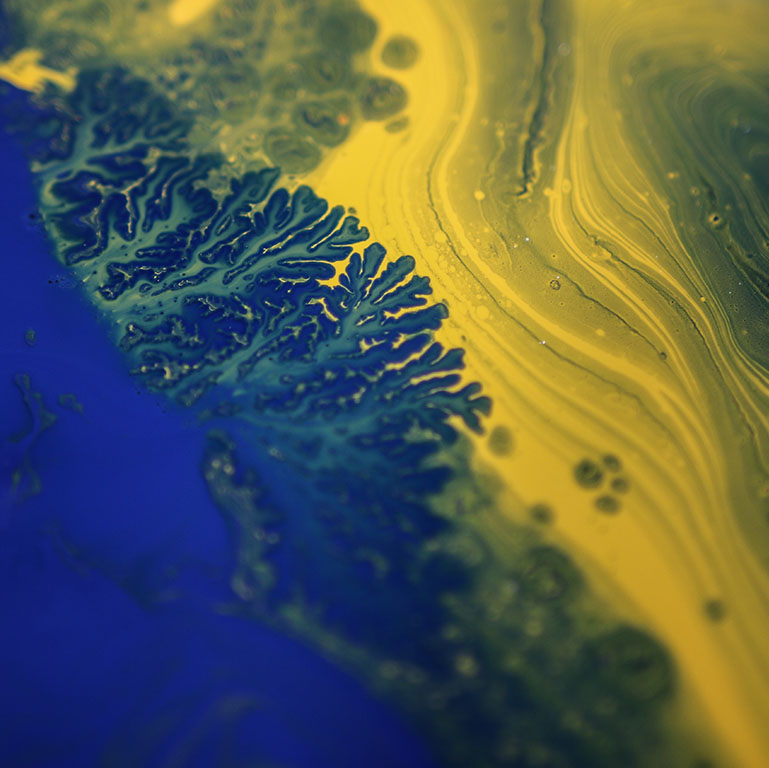 Blue paint intermingling with yellow paint on top of water.