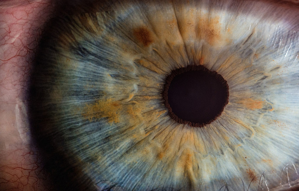 A super closeup of an eyeball. The iris is light brow and blue.