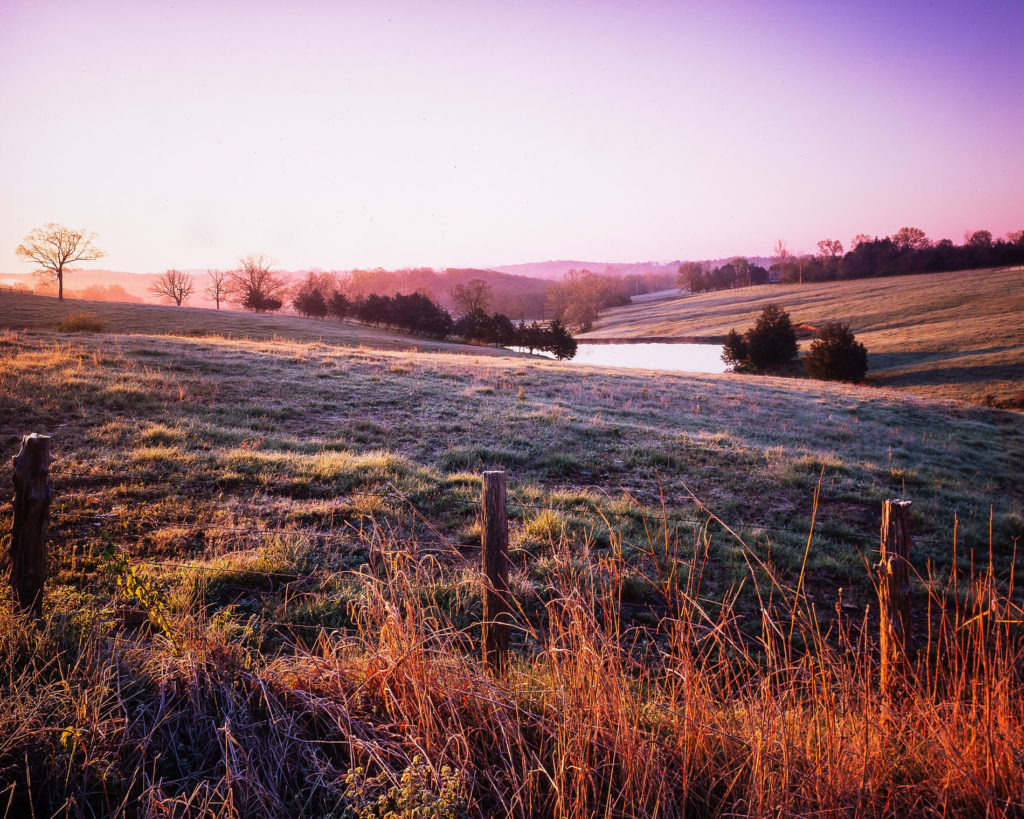 Gently rolling hills with a few trees, a pond and a barbed wire fence.