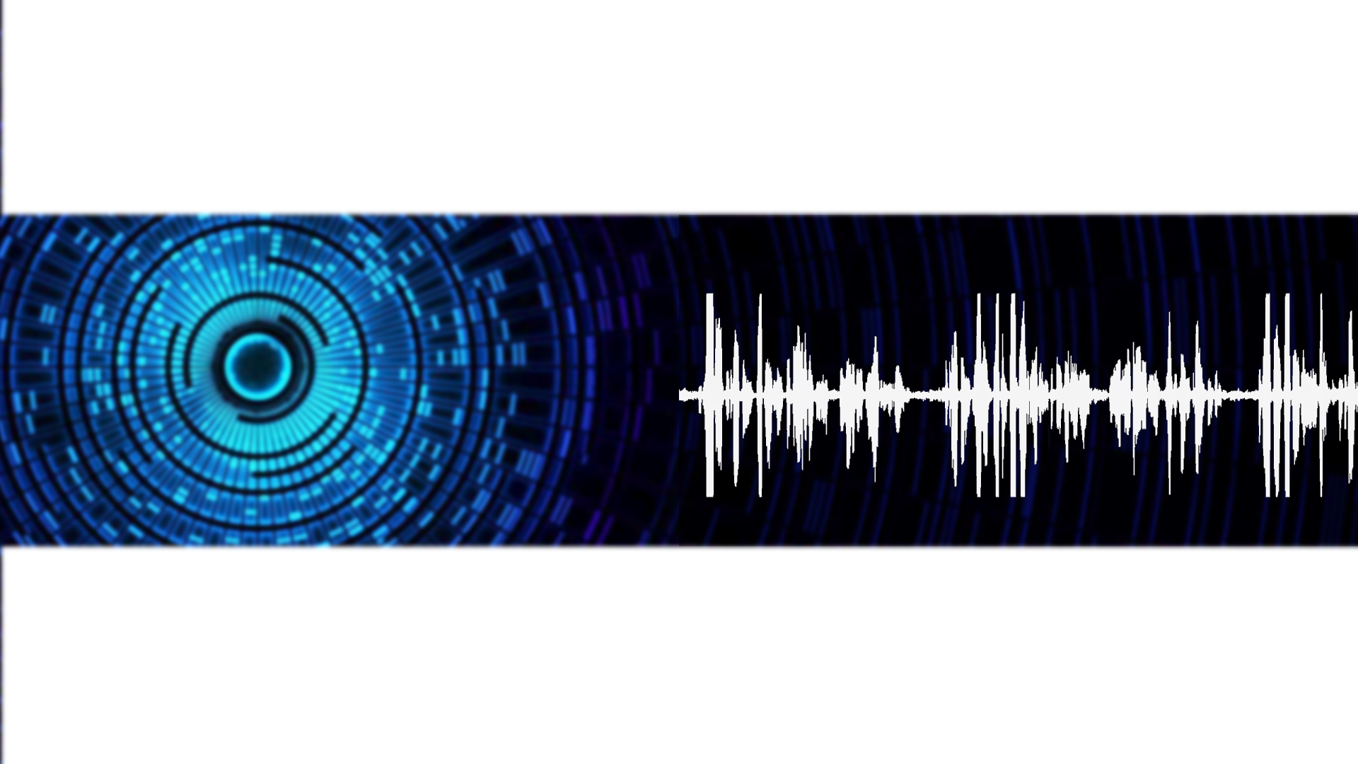 Digital Signal Processing and Machine Learning at Signiant Signiant