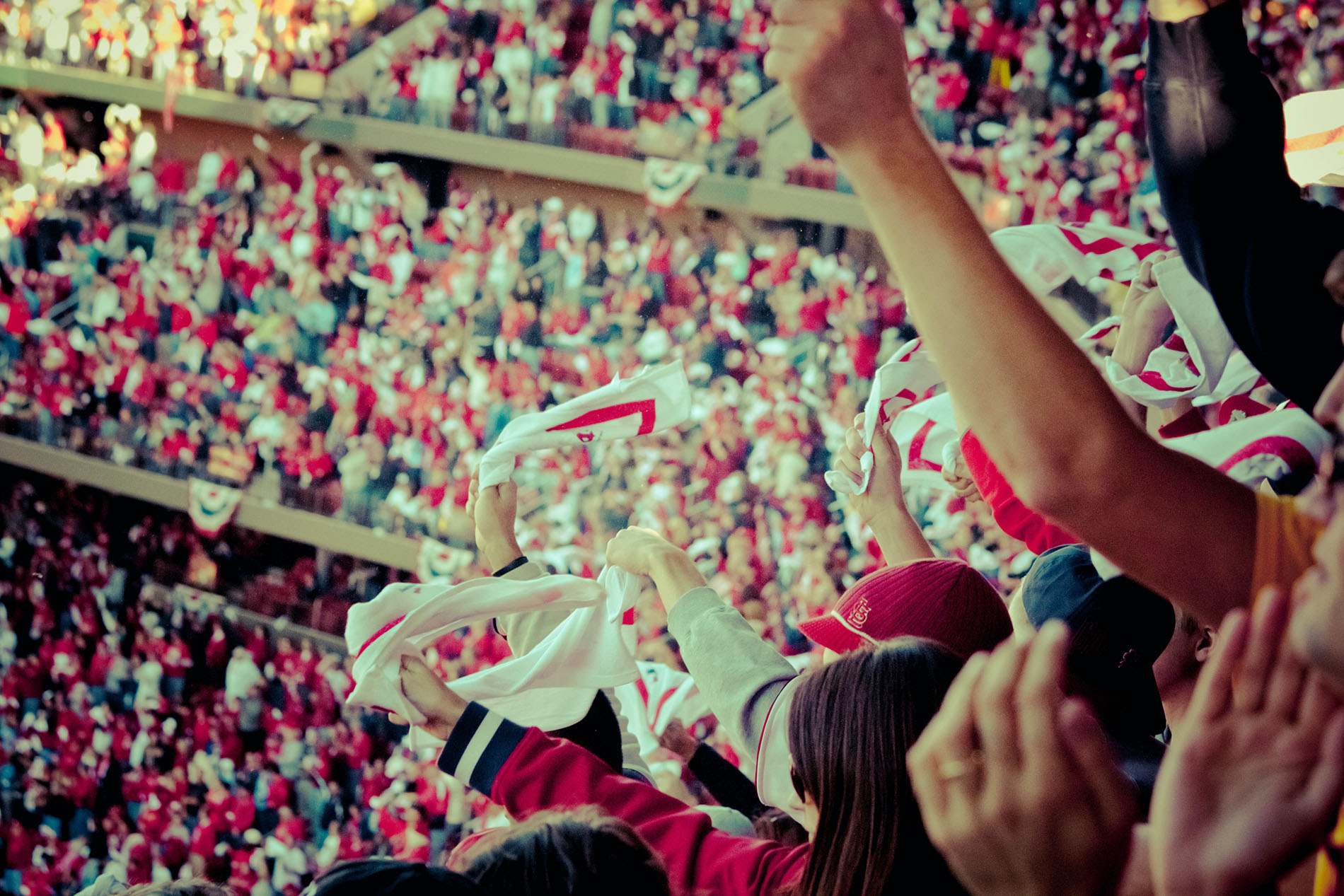 A packed stadium with fans cheering.