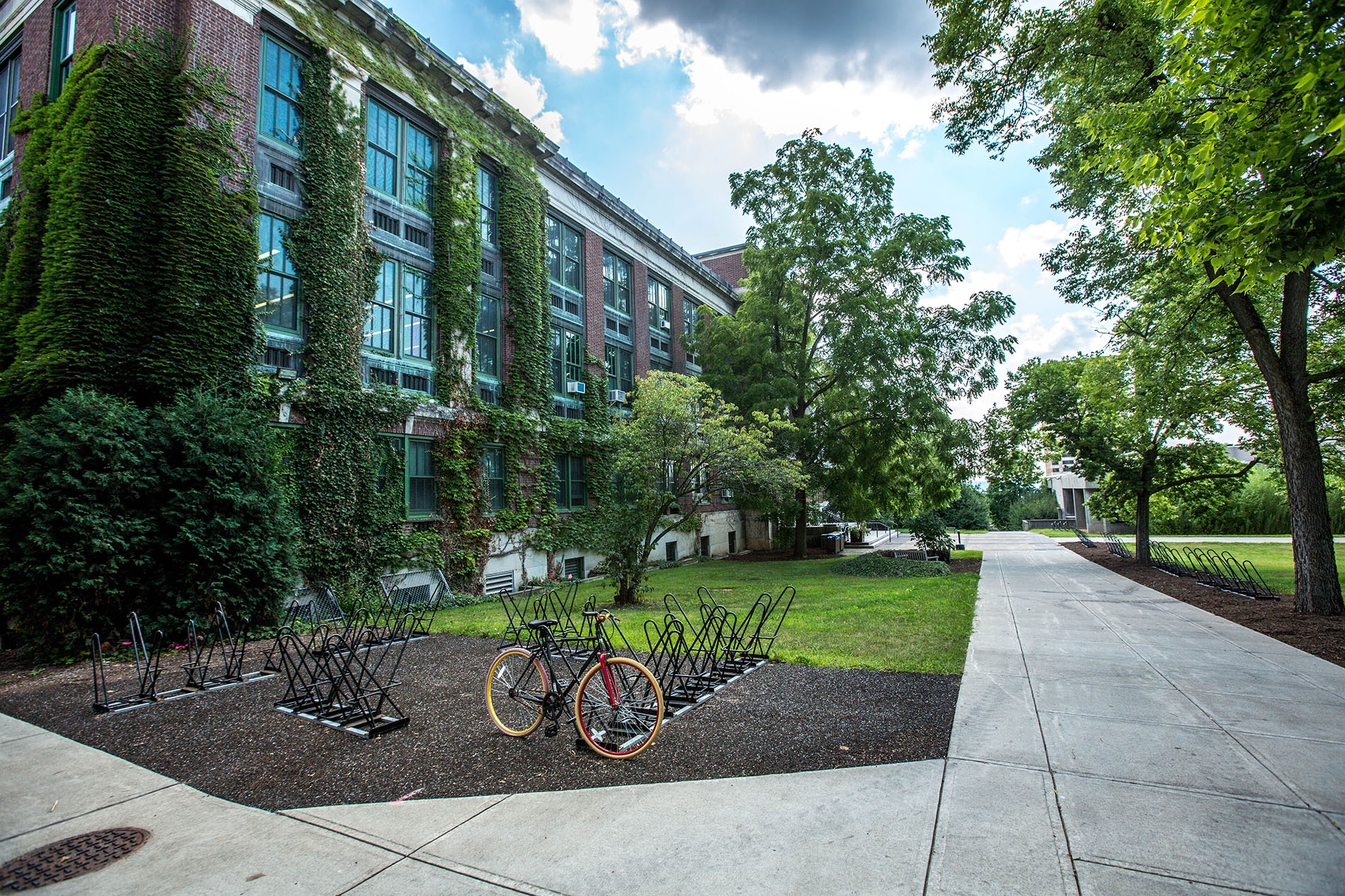 A college campus with a brick building covered in ivy and a bicycle at the bike racks in front of the building.