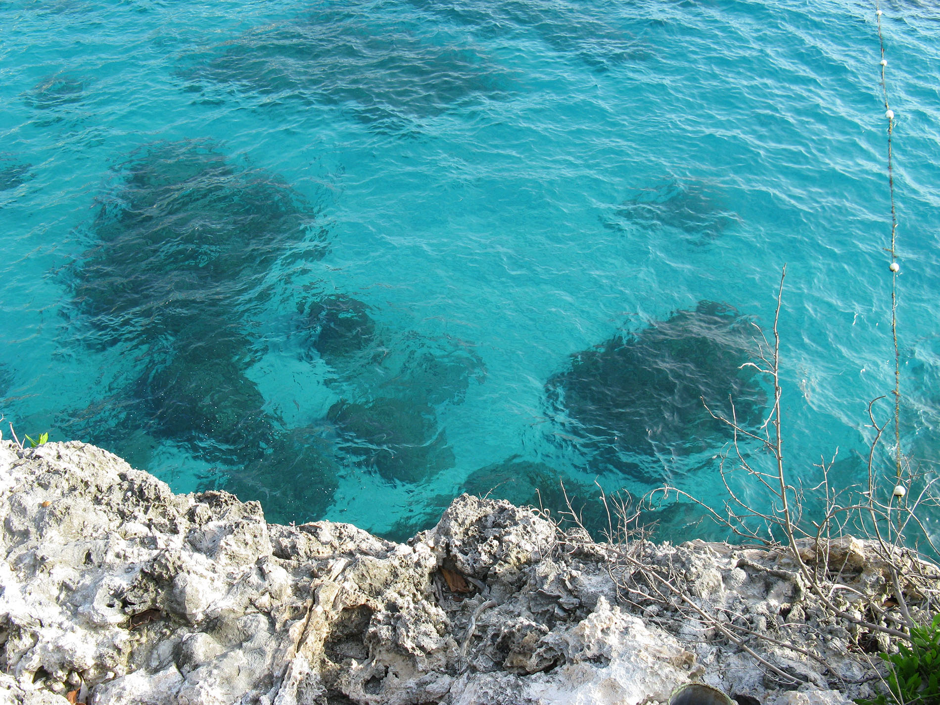 A rocky area next to clear, turquoise water in Jamaica.