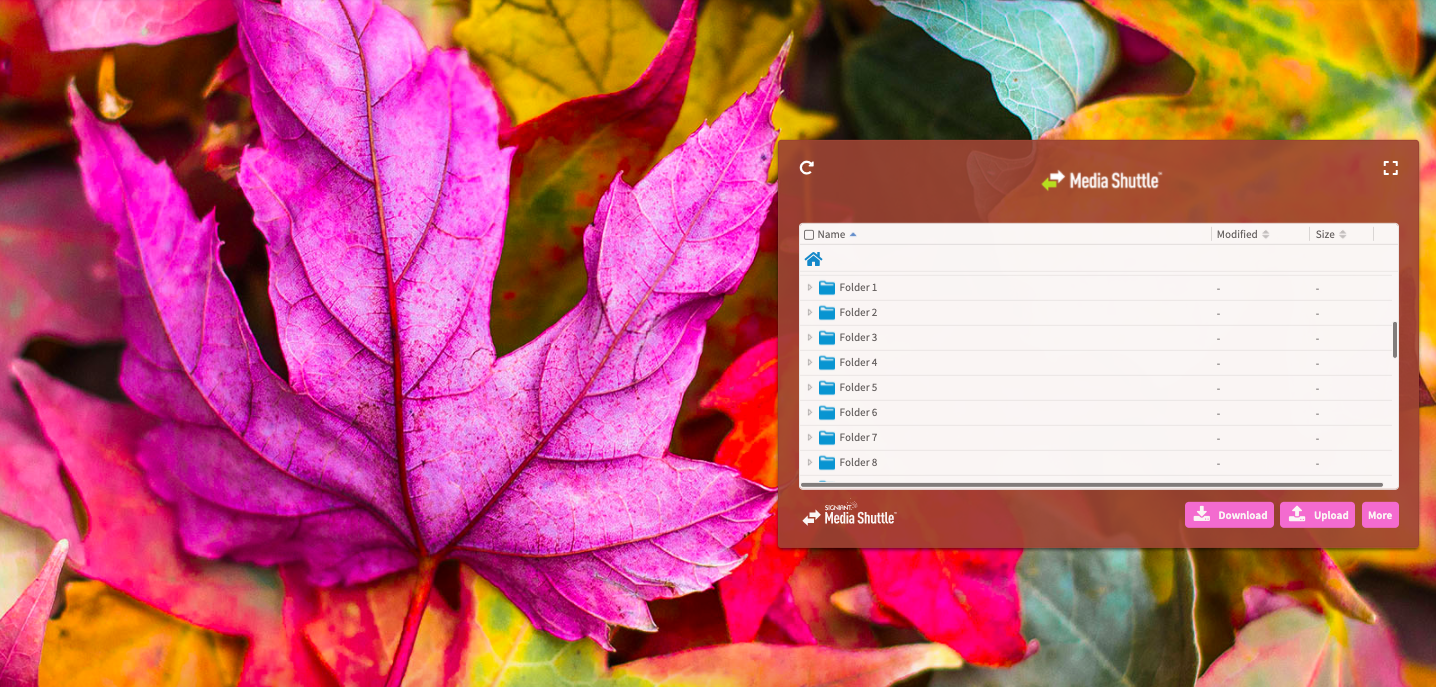 Beautiful autumn leaves with a Media Shuttle folder menu over it.