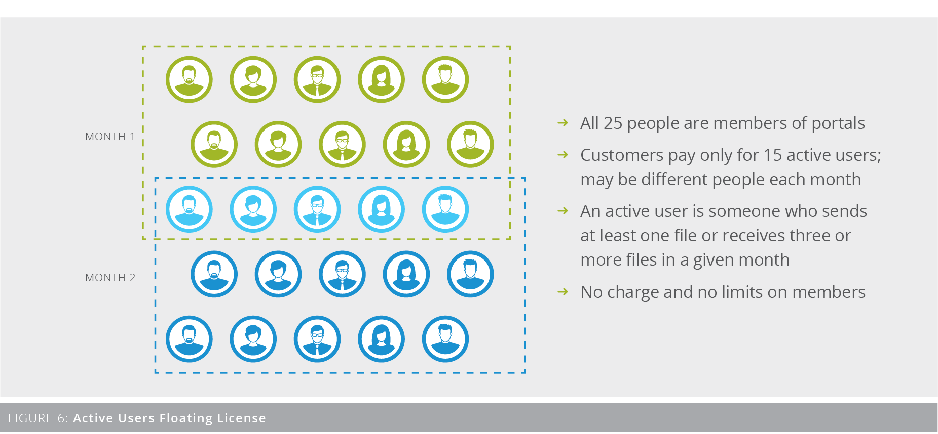 Figure 6: Active Users Floating License